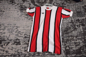 Un modelo tricolor de 1983