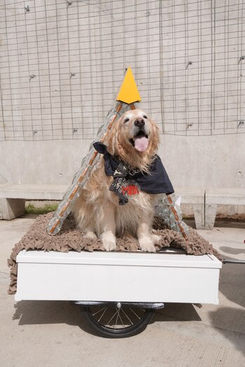 Autores: Fernando Poggio, Juan Diciervo,