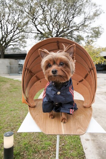 “Las Marinas”, otra de las