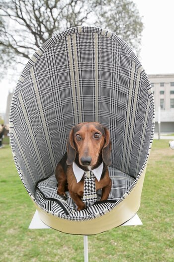 Vittorio Caligara y Claudia Traverso,