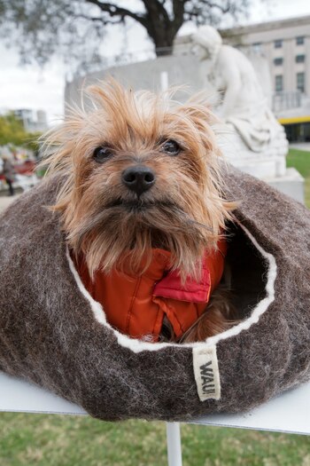 Una casita abrigada para combatir