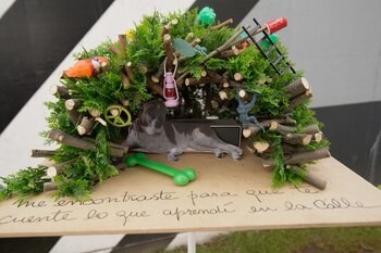 “Para perro con calle”, por