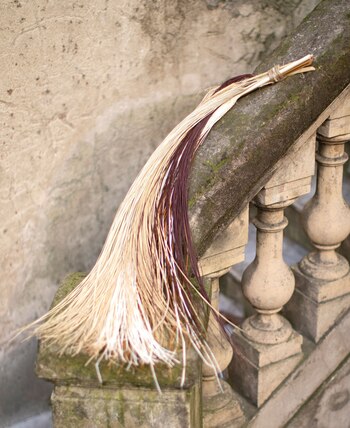 Palmas de toquilla, un tipo