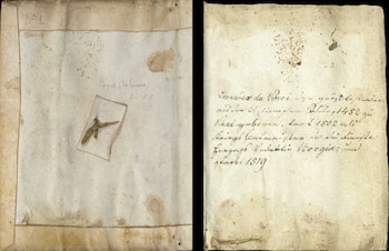 Los cuadernos de Leonardo da