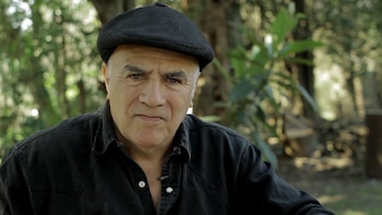 Luis el Gordo Valor, el