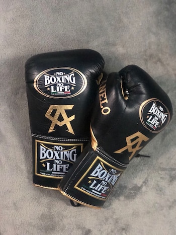 Así era el modelo de