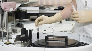 El origen del mieloma múltiple