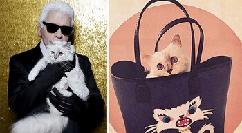 La gata tiene 2 niñeras