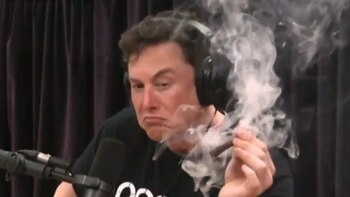 Elon Musk fuma marihuana durante