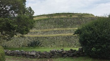 La curvatura en las orillas