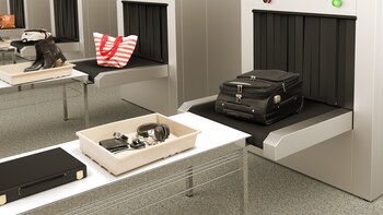 Las bandejas de seguridad, son