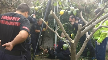 Las autoridades informaron que la