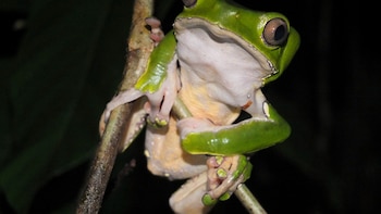 La ciudad de Hanói es