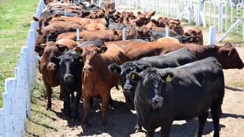 El objetivo del Congreso es