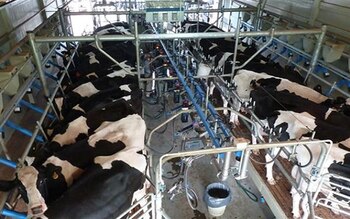 En julio el precio al