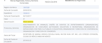 La ficha que formaliza a