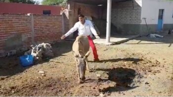 Como candidato, José Luis Romero