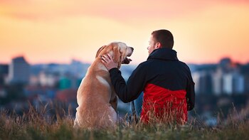 La adopción tiene que ser