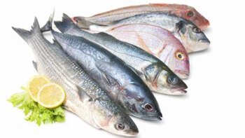 La Argentina posee las condiciones