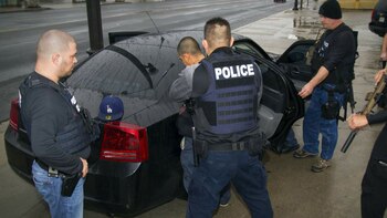 El uso de los sellos