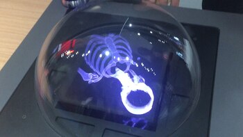 El esqueleto humano se refleja