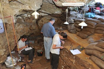 Hensilwood en plena faena con