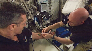 Tanto en tierra como en