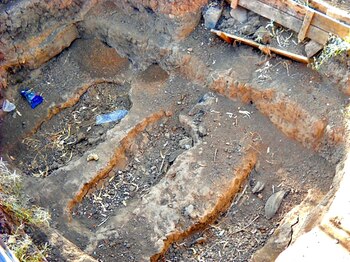 La llevaron al Pozo de