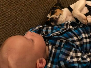 Brody duerme acompañado de su