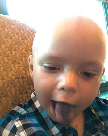 Aunque Brody se alimenta permanentemente