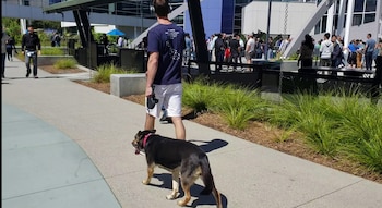 Los empleados pueden llevar sus