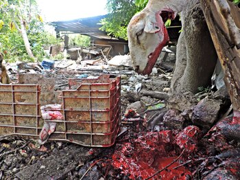 En ocasiones, don Chuck y