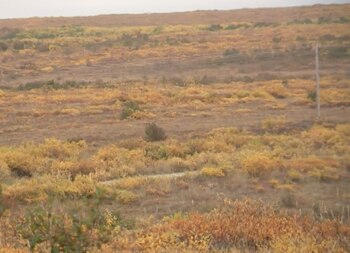 En esta área fue hallado