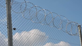 Delitos y Justicia: ¿Hay monstruos