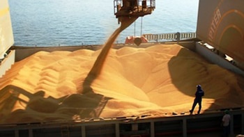 Hoy los exportadores de granos