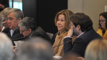 Graciela Camaño, Frente Renovador. La