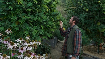 El cultivo personal en Canadá