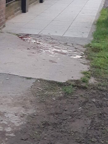 Gentileza @Inforbanodiario