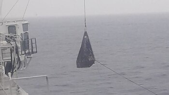 Imágenes de las tareas de