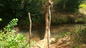 Las familias construyeron una precaria