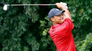 La investigación revela que las