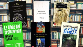 Ensayos para leer sin pausa