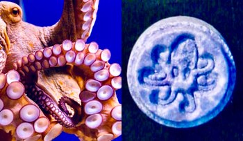 Imagen XLOFJI7FDBCJHKBTYZEGGJWBVU