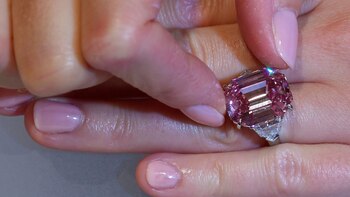 “The Pink Legacy” será exhibido