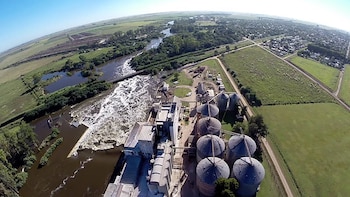 (Molinos Juan Semino SA)