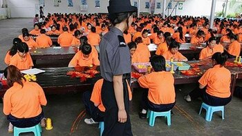 Uno de los campos de