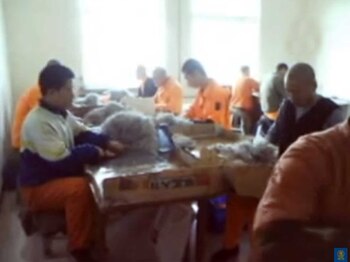 Los recluidos en los campos