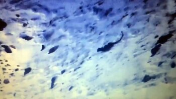 El leopardo corría por una