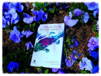 Imagen 3ABML3LAQZDSHFC6FYY4AMS4WE