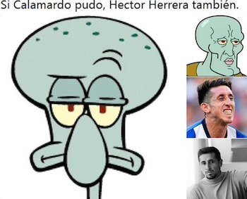 Imagen D3LUWK5D7JHWPM6OV5A6XCPSUE